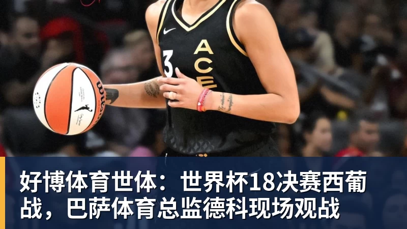 好博体育世体：世界杯18决赛西葡战，巴萨体育总监德科现场观战